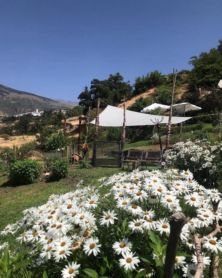 "Casa Ibero" Bubion, Alojamiento Turistico Rural מראה חיצוני תמונה