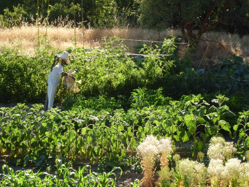 "Casa Ibero" Bubion, Alojamiento Turistico Rural מראה חיצוני תמונה