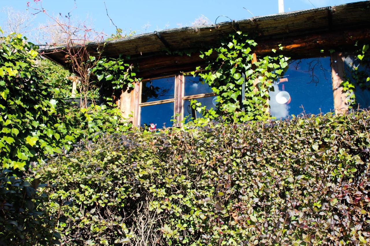 "Casa Ibero" Bubion, Alojamiento Turistico Rural מראה חיצוני תמונה