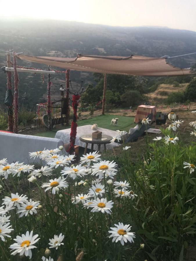 "Casa Ibero" Bubion, Alojamiento Turistico Rural מראה חיצוני תמונה